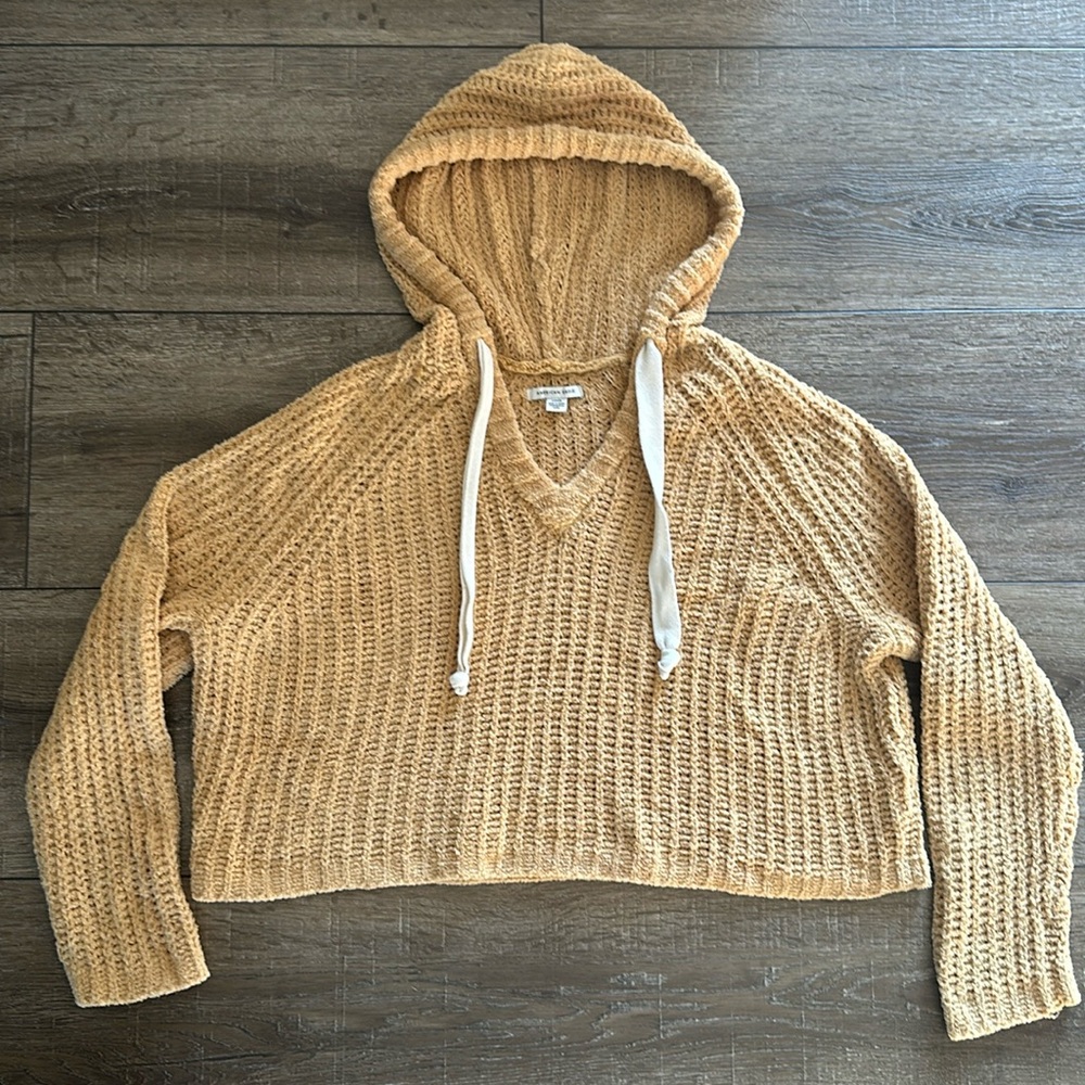 American Eagle Outfitters Cropped Hoodie